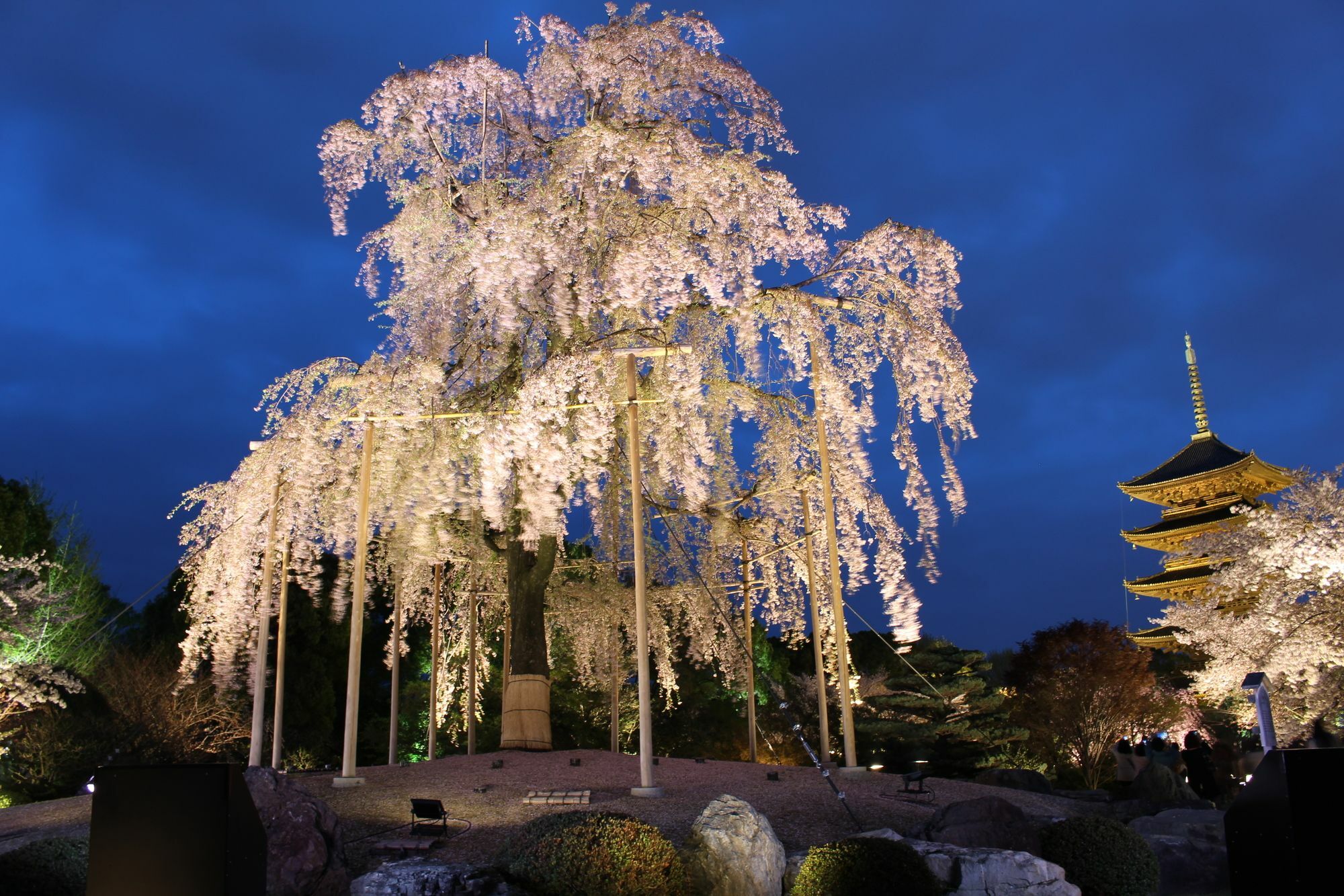 Stay Sakura Kyoto Toji West I Exterior foto