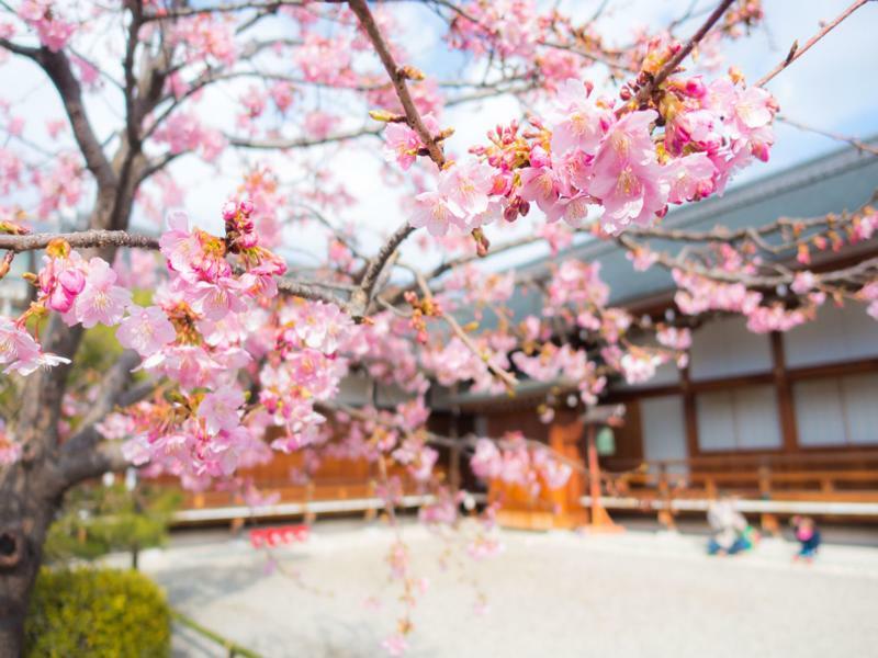 Stay Sakura Kyoto Toji West I Exterior foto